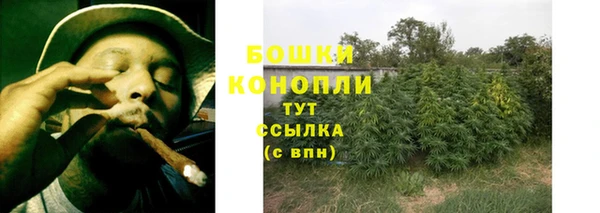 соль ск Козельск