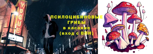 соль ск Козельск