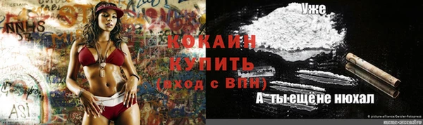 соль ск Козельск